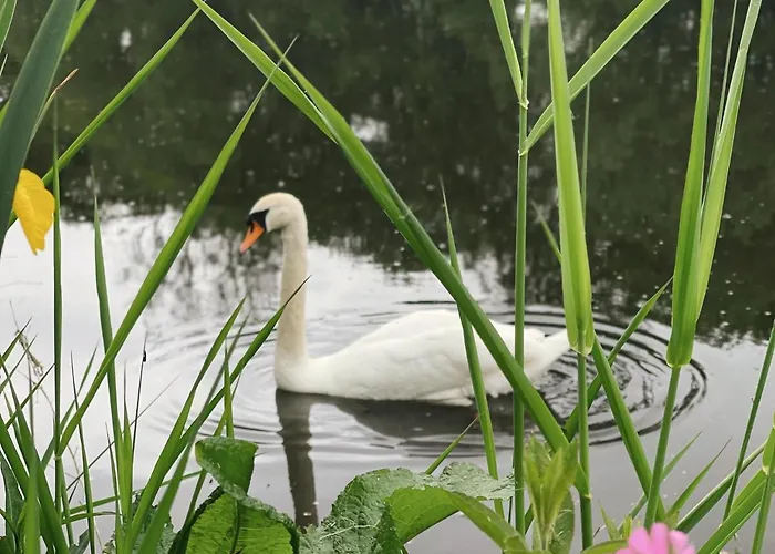 The Little Chantry - Hot Tub, Riverside, Pet Friendly West Tanfield